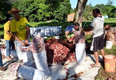 /pf/resources/images/abc-placeholder.png?d=2393