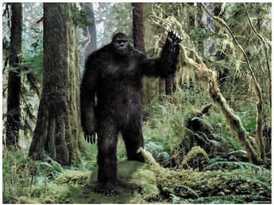 Imagen sin descripción