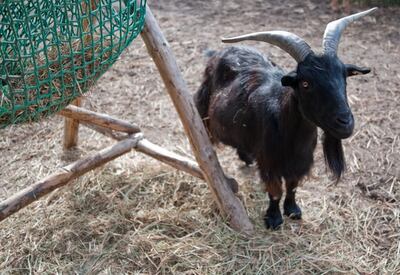 /pf/resources/images/abc-placeholder.png?d=2428