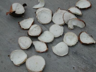 /pf/resources/images/abc-placeholder.png?d=2422