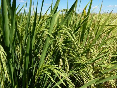 /pf/resources/images/abc-placeholder.png?d=2399