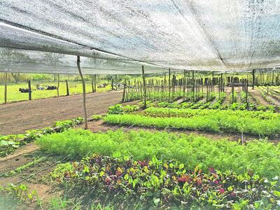 /pf/resources/images/abc-placeholder.png?d=2433