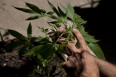 /pf/resources/images/abc-placeholder.png?d=2393