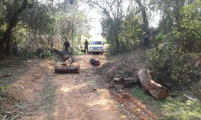 Los campesinos que atacaron la propiedad tiraron troncos en el camino para entorpecer el paso de la Policía.