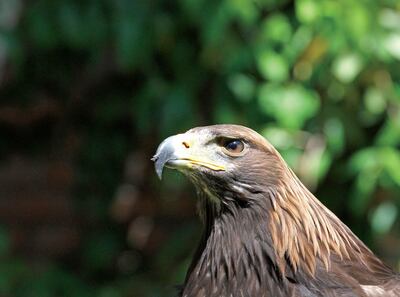 /pf/resources/images/abc-placeholder.png?d=2398