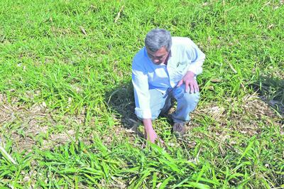 /pf/resources/images/abc-placeholder.png?d=2425