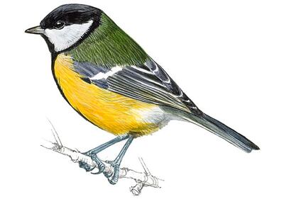 /pf/resources/images/abc-placeholder.png?d=2419