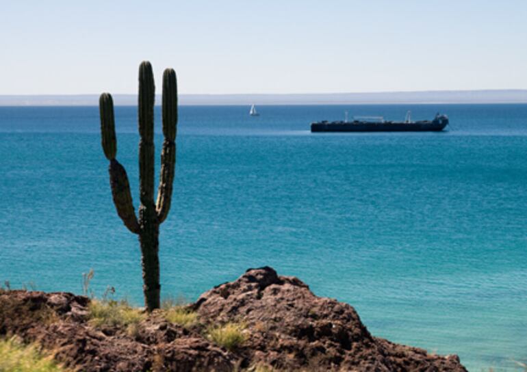 La Paz se encuentra en Baja California Sur, en México.