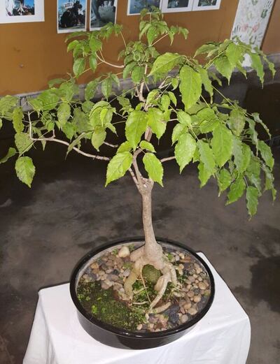 /pf/resources/images/abc-placeholder.png?d=2399