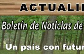 corea-expondra-sobre-proyecto-de-reforestacion-en-paraguay-90705000000-404628.gif