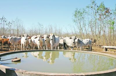 /pf/resources/images/abc-placeholder.png?d=2421