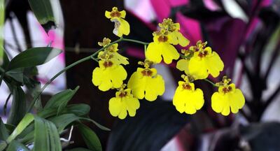 /pf/resources/images/abc-placeholder.png?d=2410