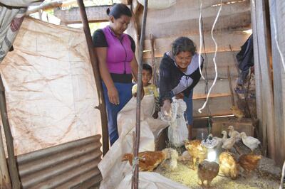 /pf/resources/images/abc-placeholder.png?d=2449