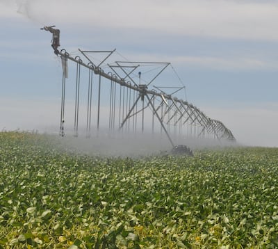 El sector agrícola es y seguirá siendo uno de los pilares de la producción; los referentes del sector público y privado deben aunar esfuerzos para lograr mantener un crecimiento.