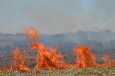 /pf/resources/images/abc-placeholder.png?d=2429