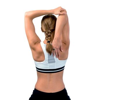 Imagen sin descripción