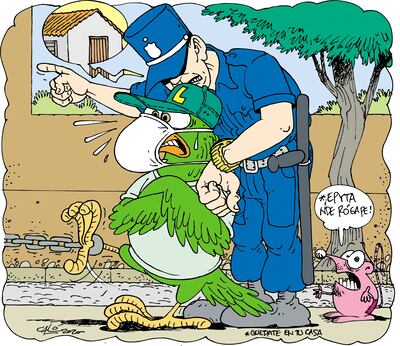 Esta medianoche se deben atrasar los relojes 60 minutos en todo el país