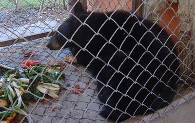 /pf/resources/images/abc-placeholder.png?d=2421