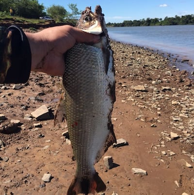 /pf/resources/images/abc-placeholder.png?d=2393