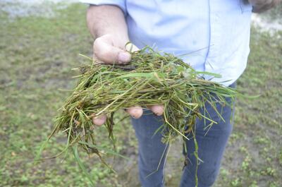 /pf/resources/images/abc-placeholder.png?d=2429