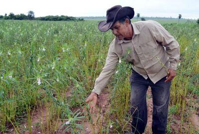 /pf/resources/images/abc-placeholder.png?d=2421