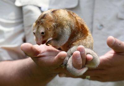 /pf/resources/images/abc-placeholder.png?d=2395