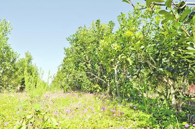 /pf/resources/images/abc-placeholder.png?d=2395