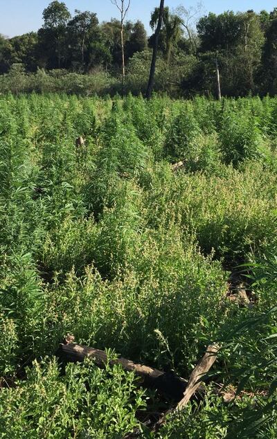 /pf/resources/images/abc-placeholder.png?d=2393