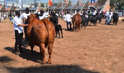 La Expo Norte se realizará del 30 de agosto al 8 de setiembre próximo.