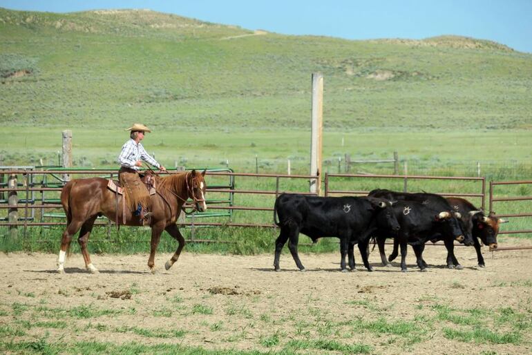 Un hombre monta a caballo en el TA Ranch en Wyoming, Estados Unidos.