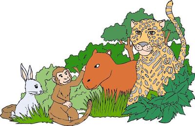 Imagen sin descripción