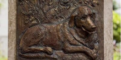 /pf/resources/images/abc-placeholder.png?d=2395