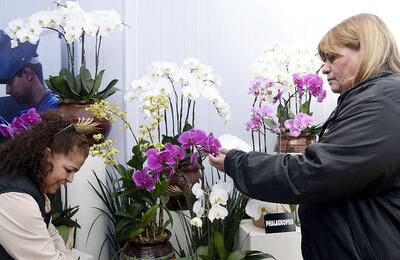 Técnicas del Ministerio de Agricultura y Ganadería explican detalles de la producción de orquídeas en Paraguay.