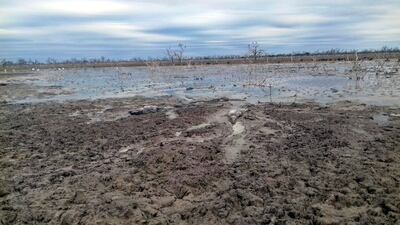 /pf/resources/images/abc-placeholder.png?d=2399