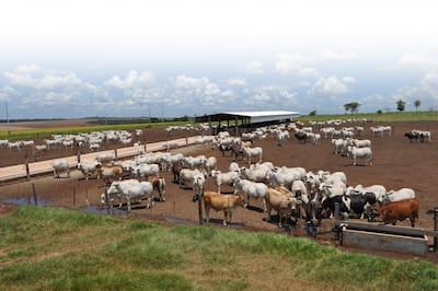 /pf/resources/images/abc-placeholder.png?d=2394