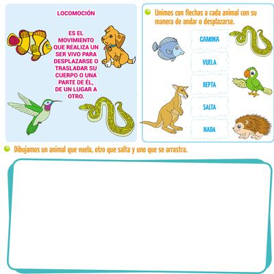 ¿Sabías esto de los animales?