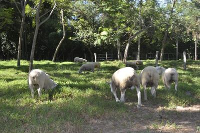 /pf/resources/images/abc-placeholder.png?d=2393