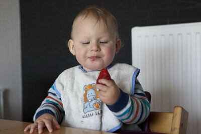 Imagen sin descripción