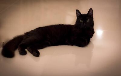 /pf/resources/images/abc-placeholder.png?d=2395