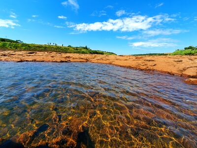 Bajo nivel del río Paraná en zona del puente de la Amistad.