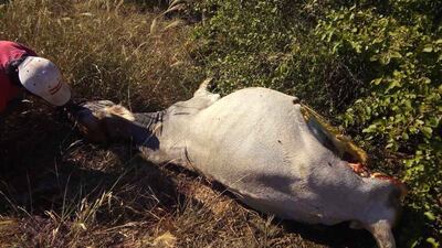 /pf/resources/images/abc-placeholder.png?d=2395