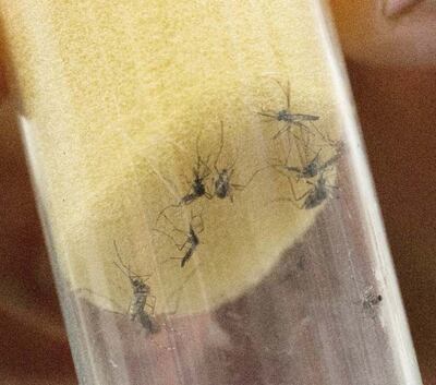 /pf/resources/images/abc-placeholder.png?d=2429