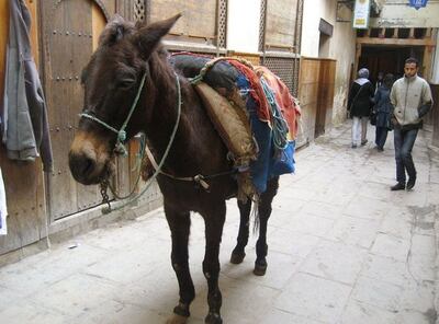 /pf/resources/images/abc-placeholder.png?d=2420