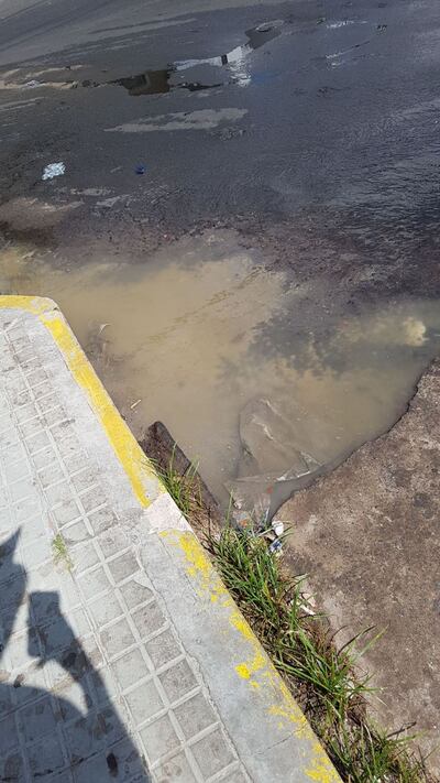Imagen sin descripción