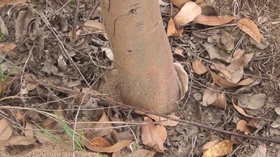 /pf/resources/images/abc-placeholder.png?d=2421