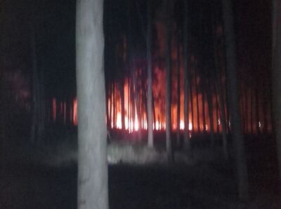 /pf/resources/images/abc-placeholder.png?d=2393