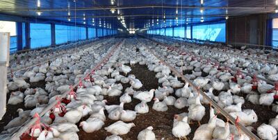 /pf/resources/images/abc-placeholder.png?d=2395