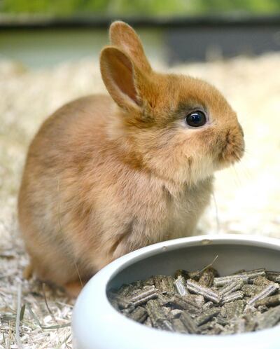 /pf/resources/images/abc-placeholder.png?d=2420