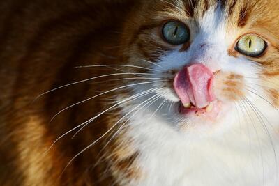 /pf/resources/images/abc-placeholder.png?d=2395