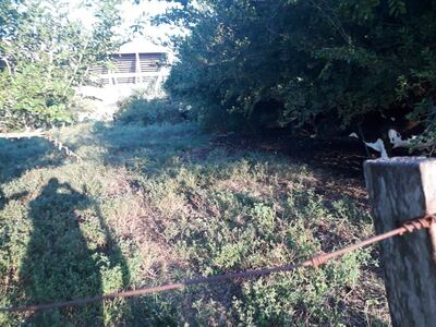 /pf/resources/images/abc-placeholder.png?d=2429